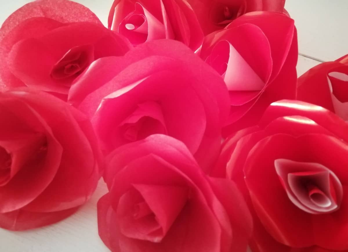 Roses de paper