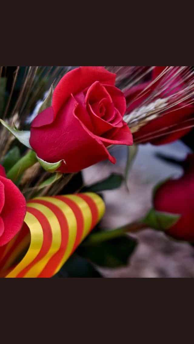 Sant Jordi